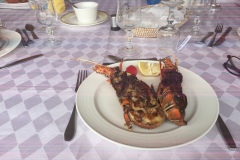 St-Louis-La-langouste-2